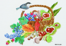 ポストカード　季節の花と鳥Ⅲ